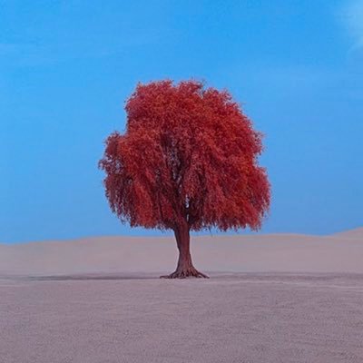 FAREL Art director - Photographe -  WEB3 enthusiast - Dubai France Recently Oz.
