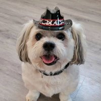 Mastriano Hansen (@mastrianoh90884) 's Twitter Profile