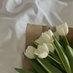 Only Tulips (@tutututututulip) Twitter profile photo Only Tulips (@tutututututulip) Twitter profile photo