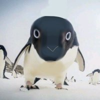 Hayase❄️ (@hayase1639354) 's Twitter Profile