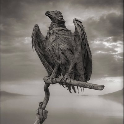 Darth_Pleguis's profile picture. 