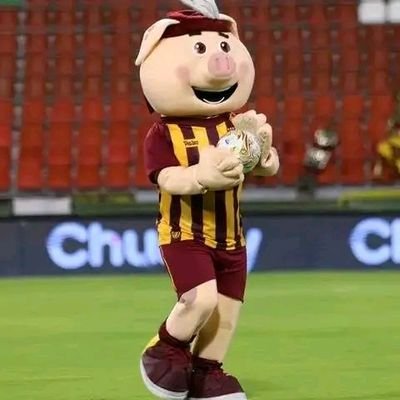 Amo al deportes Tolima, SOY DE DERECHA A MORIR. Detesto los MAMERTOS son como las botellas de cerveza, del cuello para arriba VACIOS.