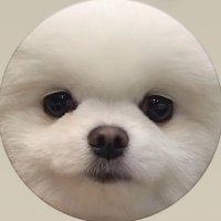 ののの！ (@_xprpx_) 's Twitter Profile