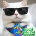 Don Gatuno (@realdongatuno) Twitter profile photo Don Gatuno (@realdongatuno) Twitter profile photo