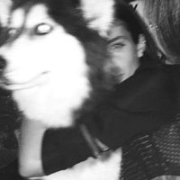 Almaha Aziz (@azizalmaha24616) Twitter profile photo