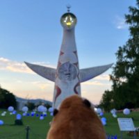 ゆー (@sb527buu429) 's Twitter Profile Photo ゆー (@sb527buu429) 's Twitter Profile Photo