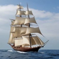 US Ship of State (@us_shipofstate) 's Twitter Profile