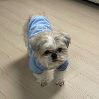 🐻 (@lhs_0913) 's Twitter Profile Photo