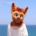 Dingus (@dingusdingoau) Twitter profile photo Dingus (@dingusdingoau) Twitter profile photo