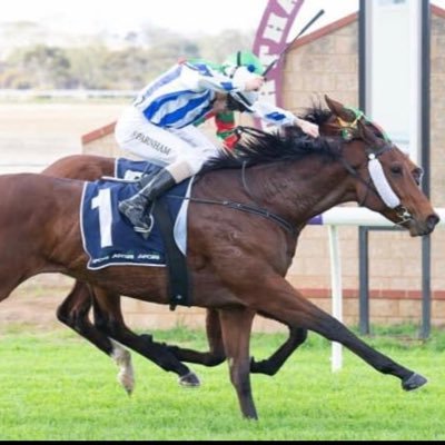 Mitch83707409's profile picture. 