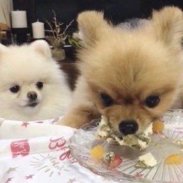 naddongyi's profile picture. 사랑+합니다=사랑합니다