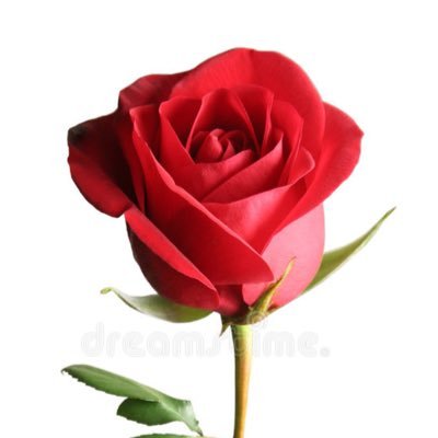 nzeztNq7S0XjC51's profile picture. манай нутагт хавар эрт боллоо өмнө зүгээс турлиах олноороо ирлээ.