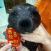 sherly liew (@sherly010385100) Twitter profile photo sherly liew (@sherly010385100) Twitter profile photo