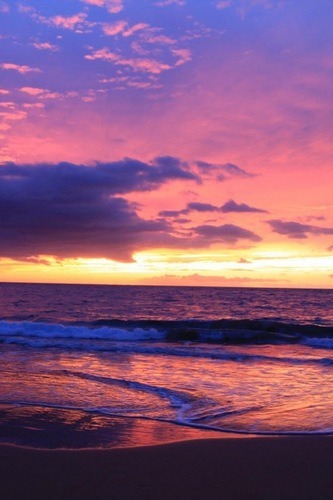 C_geekette_'s profile picture. 