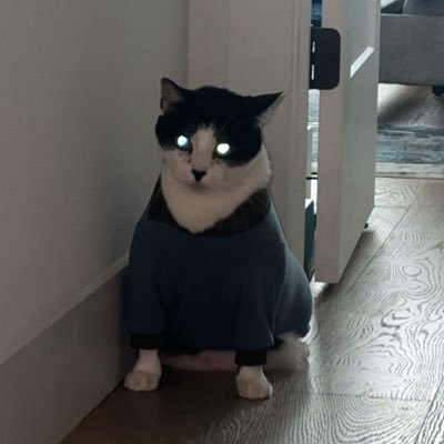 jcreates__'s profile picture. 