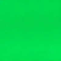 ミドリ🦖 (@kyaaa_haha) Twitter profile photo