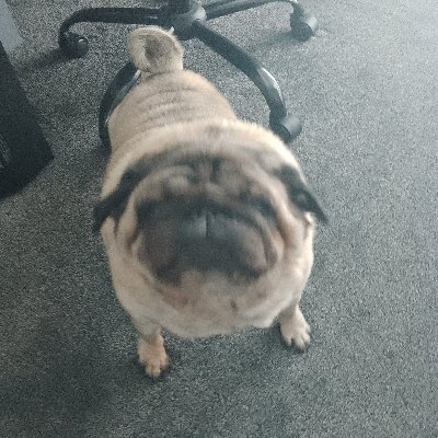 Cazzor6's profile picture. im a happy go lucky person