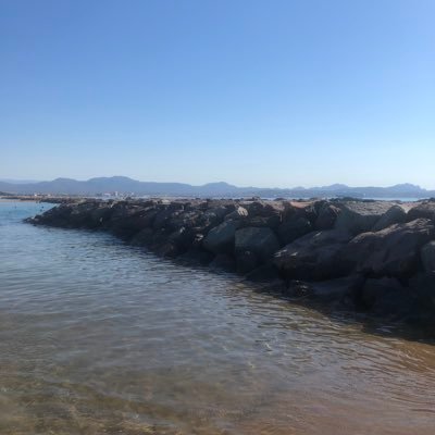 GladyysR's profile picture. 