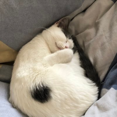 404Blankness's profile picture. 