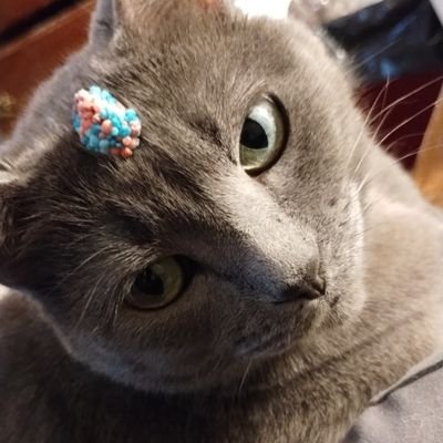 HuntersReject97's profile picture. I'm gay and autistic. 
6 💜 8 💜 22 💜 they/them 💥 certified Greg 💥 Bleach fan 💥 nonbinary demigirl