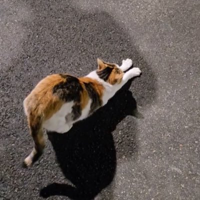𝘭𝘢𝘭𝘢𝘭𝘢𝘭𝘢さんのプロフィール画像