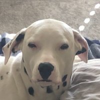 Hernny (@conna91930) 's Twitter Profile