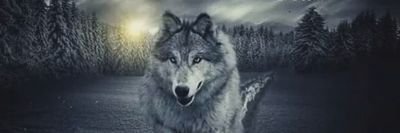 ANalli69828's profile picture. vivi e lascia vivere