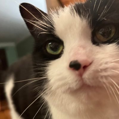 Matou_76's profile picture. Comme un fantôme. Like a ghost https://t.co/j3a2vJzIrM