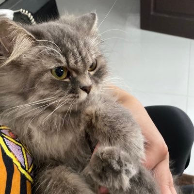 Ayiilumbreras's profile picture. 🤍