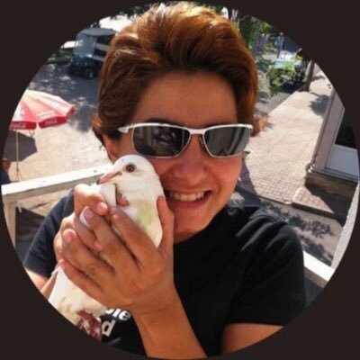 Avukat, ceza hukuku doktoru, İstanbullu, İstanbul il yelken hakemi, denizde arama kurtarma, kadrolu sanık, ifade özgürlüğü sınırlı, ifadeye çağrılması sıradan…