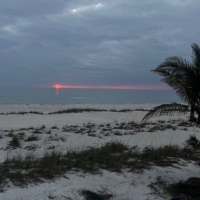 b69271475's profile picture. 🐊