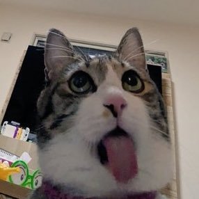 건배さんのプロフィール画像