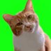 é¿çããŒãºç« (@yamagta321) Twitter profile photo é¿çããŒãºç« (@yamagta321) Twitter profile photo