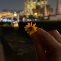 Lama Nadir🥀 (@lamaaaaanadir) 's Twitter Profile Photo