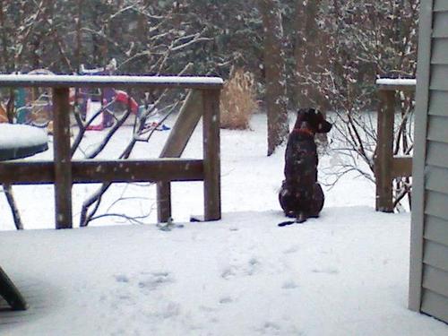 MZ923's profile picture. 