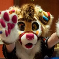 Sunfetti (@rune_runicad) 's Twitter Profile