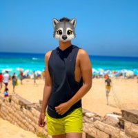 Timon🤍🕊 (@_timon20) 's Twitter Profile