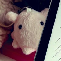 meiji (@m0n1m0n1m) 's Twitter Profile