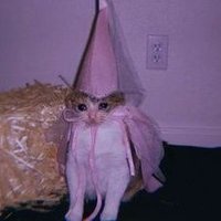 Ce (@thelastceparty) 's Twitter Profile