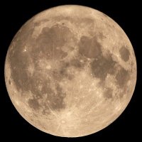 Moon Man (@yennykaf) 's Twitter Profile