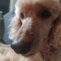 jota (@jotainpuuta) 's Twitter Profile Photo jota (@jotainpuuta) 's Twitter Profile Photo