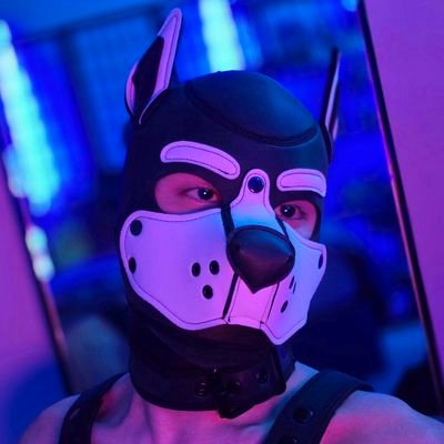 pupmochaccino's profile picture. 🐶 Puppy player    🔑 Chastity enjoyer    🎭 Gear hoarder    😼 Furry trash    🏳️‍🌈 Queer, Non-binary    👤 He/They, 21    🔞 NSFW 🔞