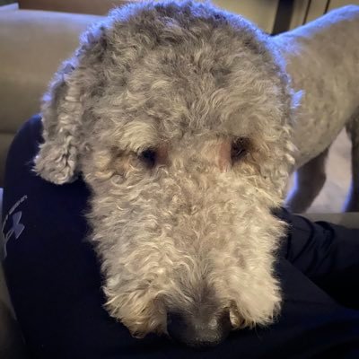 jbaro007's profile picture. proud dad , Proud Canadian .