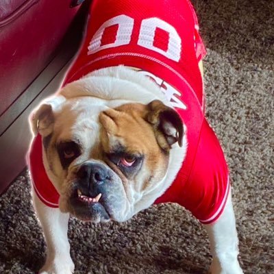 progressive democrat,bull dog lover, Buckeye, one of the 99%, Nurse,Autism,Epilepsy Advocate, NO DMs..