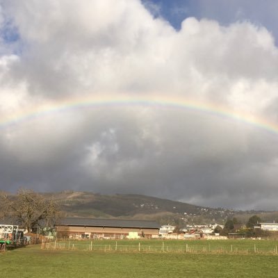 moore_elis2463's profile picture. 