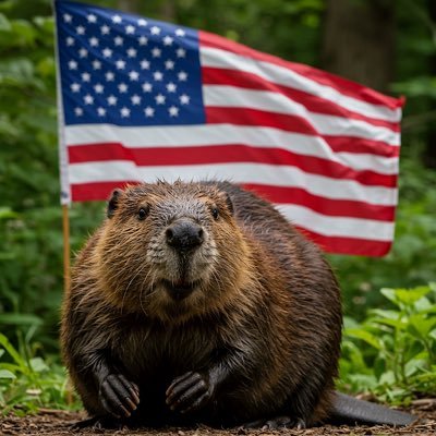 Father who loves God, loves his wife, loves his 4 year old daughter, and loves his country.
