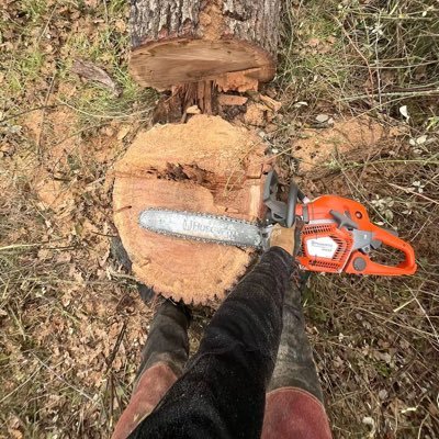 enzo_61l's profile picture. 