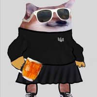 Miss Fella (@missfellacatz) Twitter profile photo
