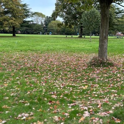 SahandStone's profile picture. 