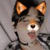 Gabriella Salvatore 🦊🩷✨️ (@femboy_gabychan) Twitter profile photo Gabriella Salvatore 🦊🩷✨️ (@femboy_gabychan) Twitter profile photo